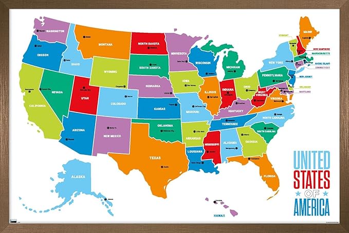 Trends International Map - United States Of America 2022 Wall Poster, 22.375" x 34", Bronze Framed Version