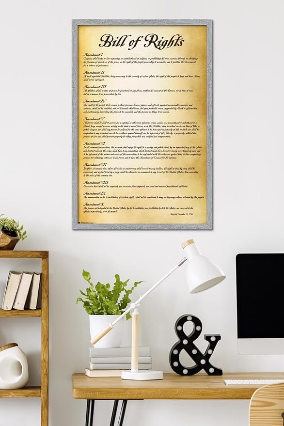 Trends International The United States of America - Bill of Rights Wall Poster, 34L x 22.4W, Gray Framed Version