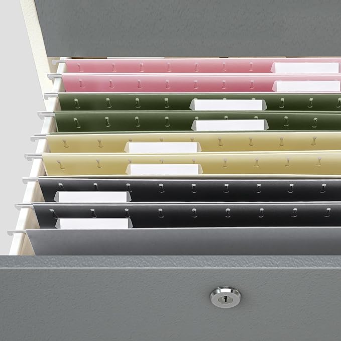 BALEINE 8PK Hanging File Folders, Letter Size Hanging Folders with 1/5-Cut Tabs for Filing Cabinets, File Boxes (8PK, Letter Size)