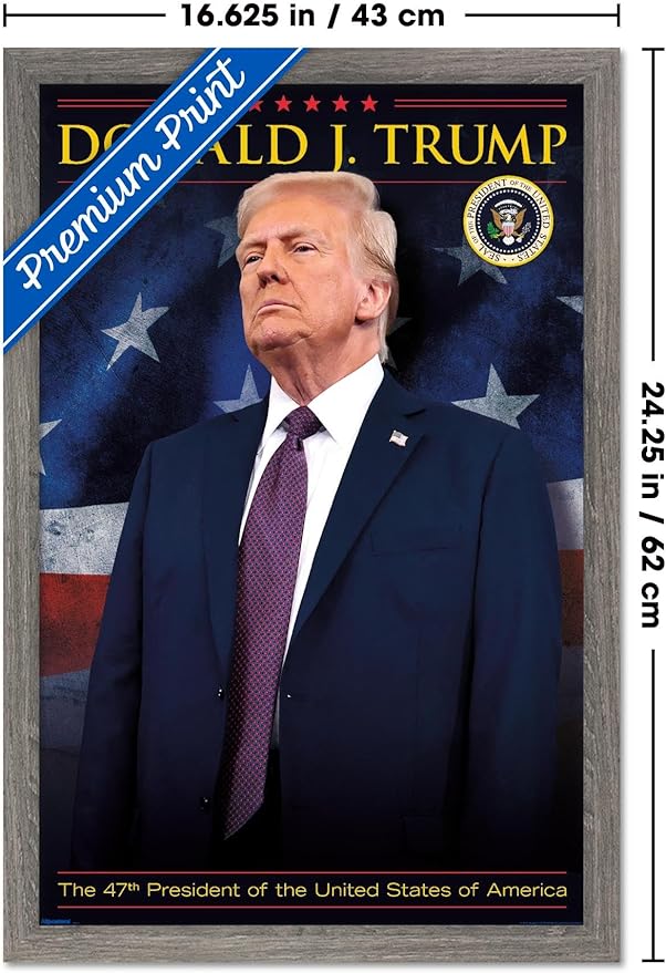 President Donald Trump - 47th President Wall Poster, 22.4L" x 14.7W", Barnwood Framed Version
