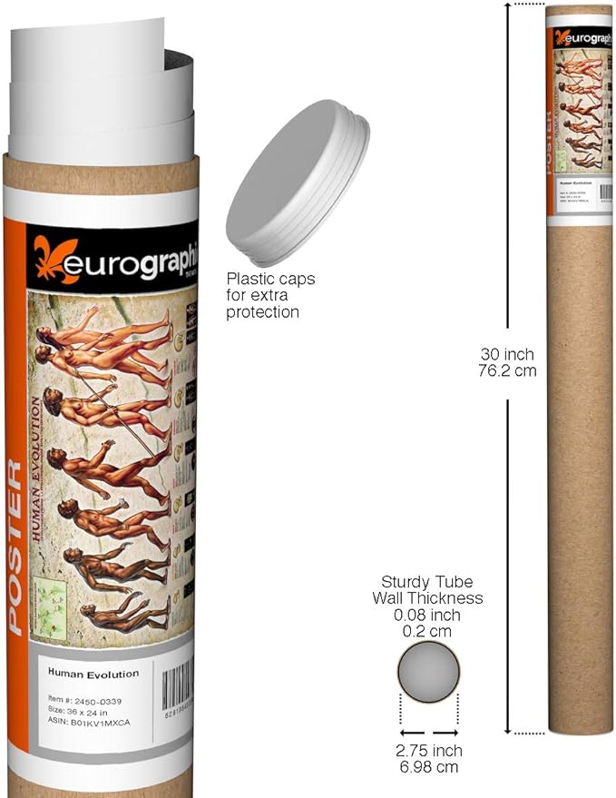 Human Evolution, Poster 36 x 24 inch by Eurographics