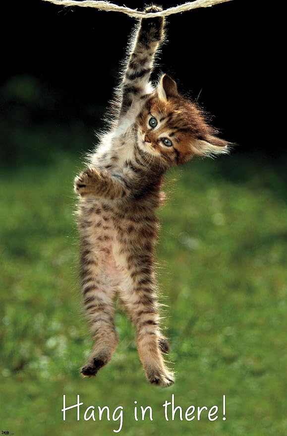 Trends International Kitten Hang In There Wall Poster 22.375" x 34" Bedroom