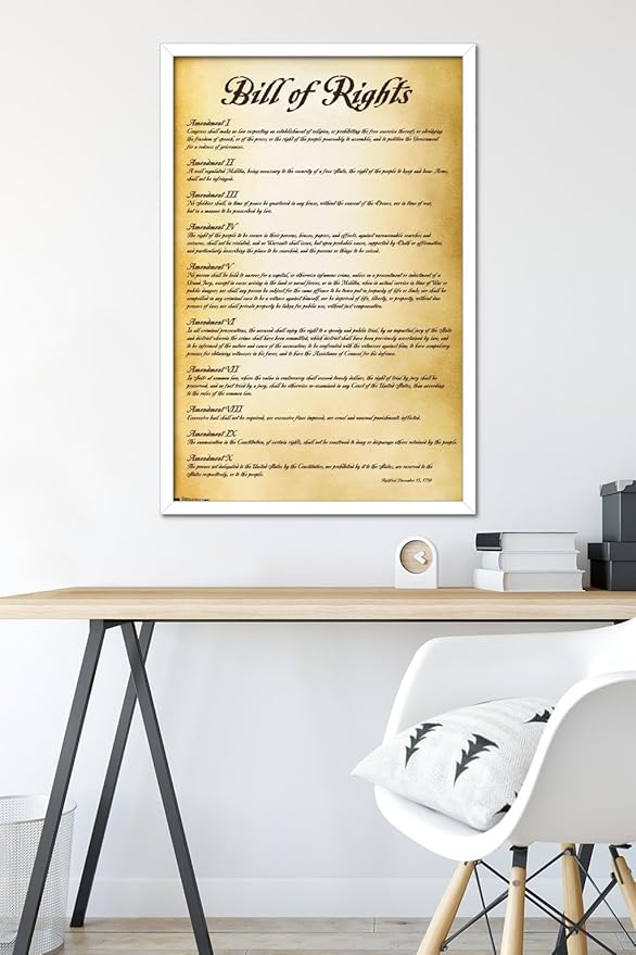 Trends International The United States of America - Bill of Rights Wall Poster, 22.375" x 34", White Framed Version
