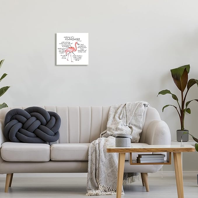 Stupell Industries Flamingo Bird Facts Chart Educational Wildlife Animals, Design by Dishique