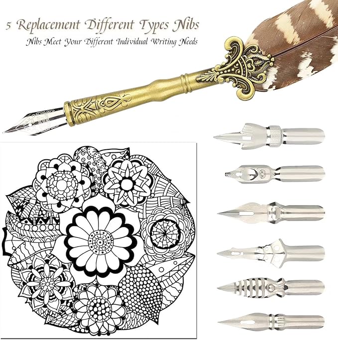 hhhouu Feather Pen and Ink Set, Quill Pen Set Antique Dip Pen with Ink and 6 Replacement Nibs 6pcs Nibs Calligraphy Pens for Beginners HO-Q-300
