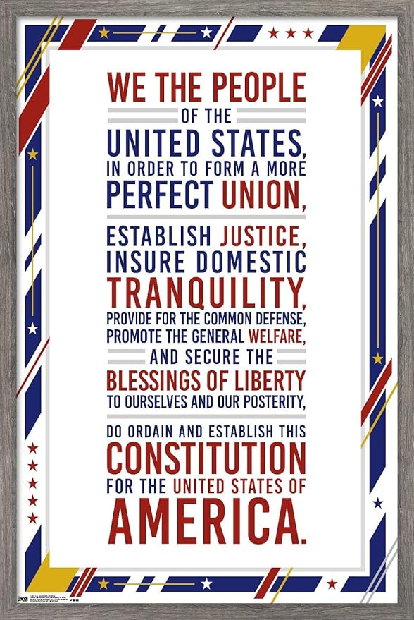 Trends International The United States Of America - Constitution Preamble Wall Poster, 14.725" x 22.375", Barnwood Framed Version