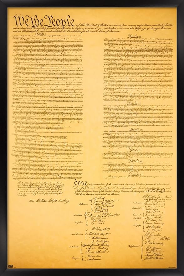 Trends International The Constitution Wall Poster, 22.375" x 34", Black Framed Version