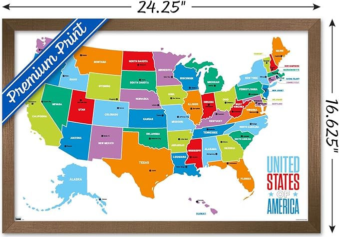 Trends International Map - United States Of America 2022 Wall Poster, 14.725" x 22.375", Bronze Framed Version