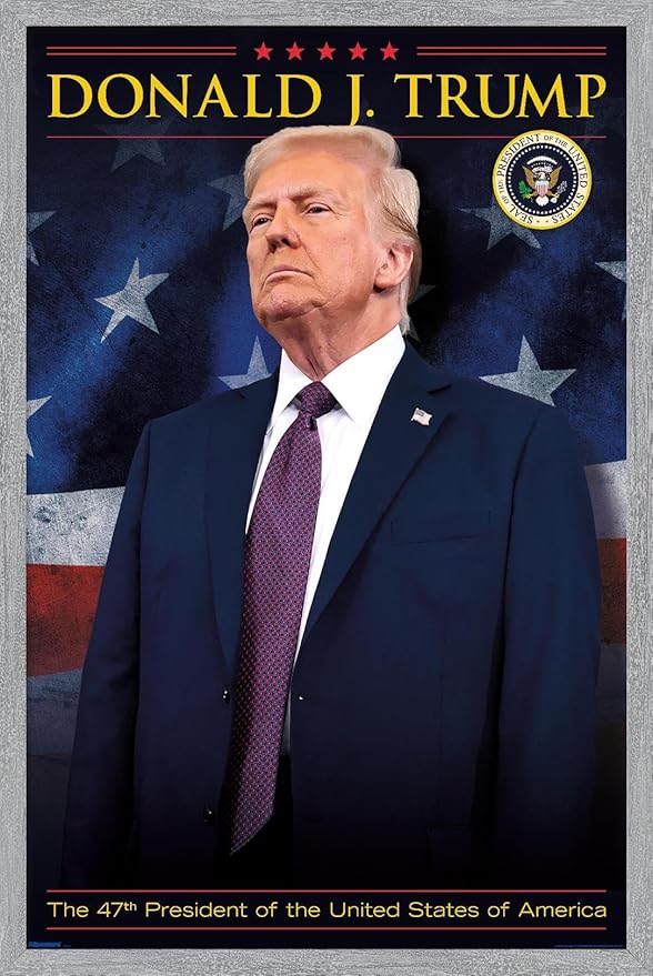 President Donald Trump - 47th President Wall Poster, 34L" x 22.4W", Gray Framed Version