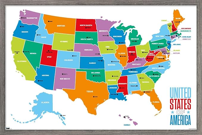 Trends International Map - United States Of America 2022 Wall Poster, 14.725" x 22.375", Barnwood Framed Version