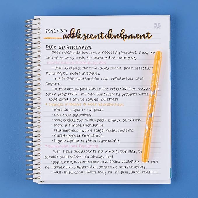 Erin Condren 8.5" X 11" Spiral Bound Productivity Notebook, Layers Colorful, Functional 160 Lined Page and 80Lb Thick Paper Spiral Notebook, Stickers Included