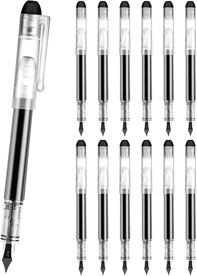 Disposable Fountain Pens for Writing - Fine Point Nib, Pack of 12, Black