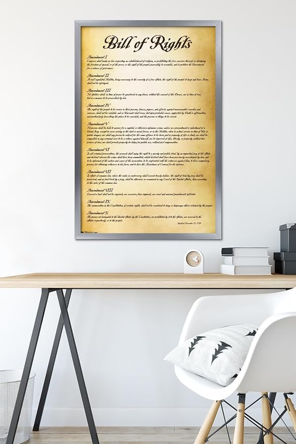 Trends International The United States of America - Bill of Rights Wall Poster, 22.375" x 34", Silver Framed Version