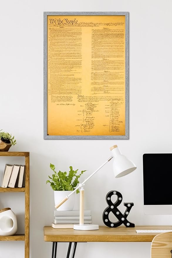 The Constitution Wall Poster, 34L" x 22.4W", Gray Framed Version