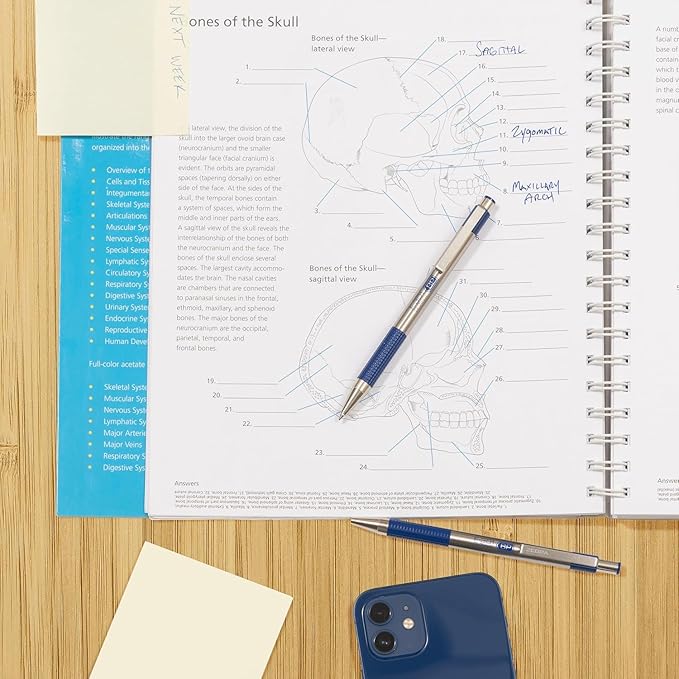 Zebra Pen F-301 Ballpoint Blue Ink Fine Point 0.7mm Pen, Easy-Glide Ink, Stainless Steel Retractable, Non-Slip Grip, Professional Design, Ideal for Office, Journal and Planner Use, 12-Pack (27120)