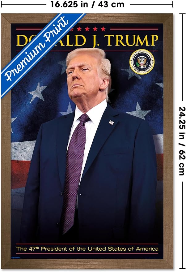 President Donald Trump - 47th President Wall Poster, 22.4L" x 14.7W", Bronze Framed Version