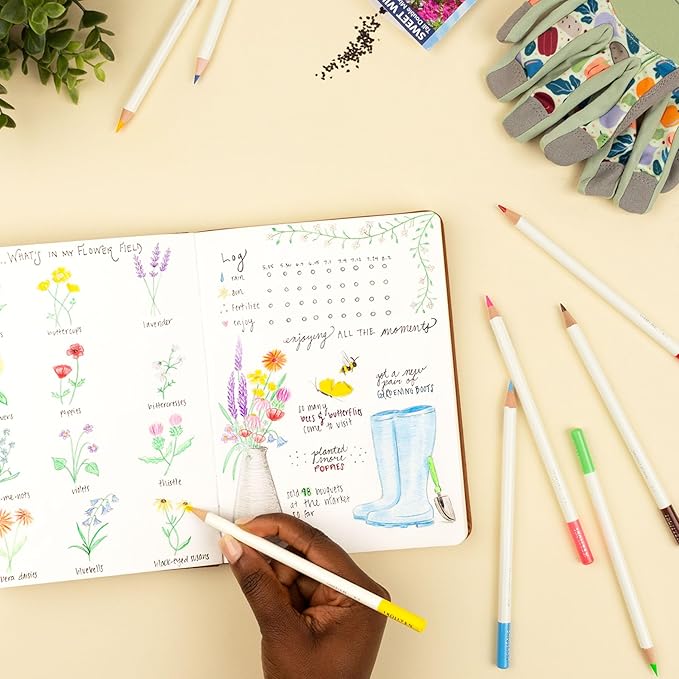 Tombow 51528 Irojiten Colored Pencil Set, Vivid. Includes 12 Premium Colored Pencils, Sharpener, and Colored Pencil Eraser