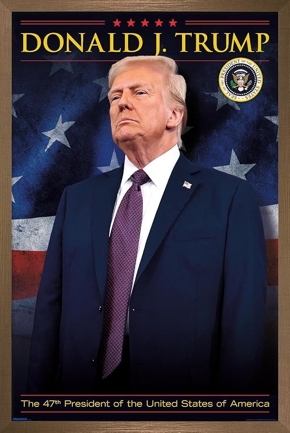 President Donald Trump - 47th President Wall Poster, 34L" x 22.4W", Bronze Framed Version