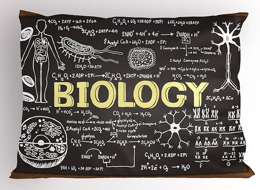 Ambesonne Educational Pillow Sham, Black Chalkboard Biology Hand Written School Classroom, Decorative Standard Size Printed Pillowcase, 26" X 20", Black Brown Pale Yellow