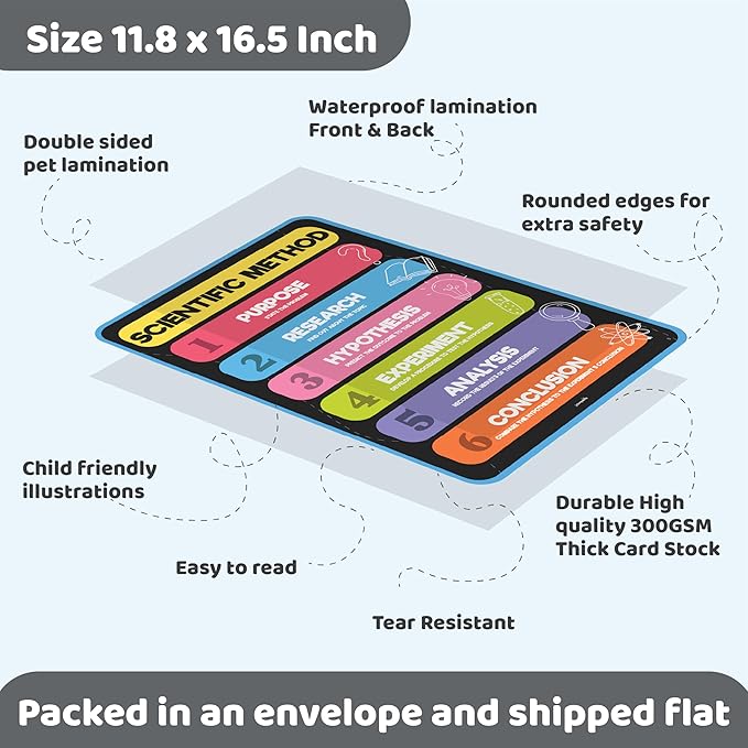 jackinthebox 12 Science Posters for Classroom - 12 x 17 inches Laminated, Middle School Science Posters, Posters for High School, Science Classroom Decor, Science Bulletin Board Sets, Easter Gifts for Kids.