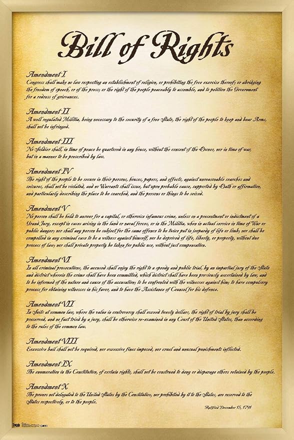 Trends International The United States of America - Bill of Rights Wall Poster, 14.725" x 22.375", Gold Framed Version