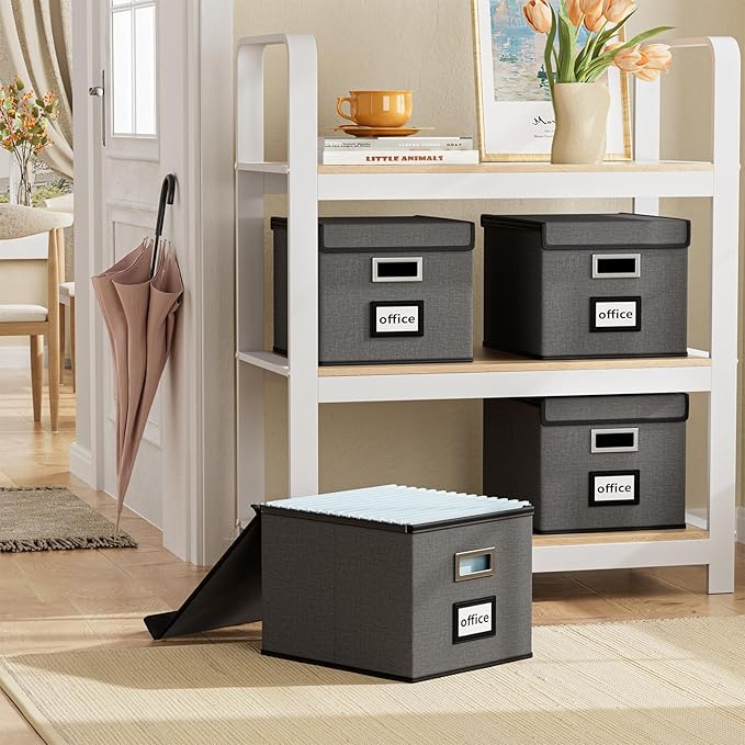 Huolewa File Organizer Box with Lid, Collapsible File Folder Organizer for Office Document Storage, Filing Box with Plastic Slide for Letter/Legal Size Hanging Files, Dark Grey