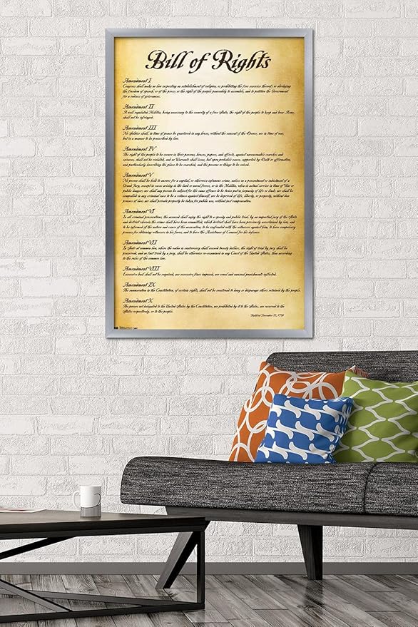 Trends International The United States of America - Bill of Rights Wall Poster, 22.375" x 34", Silver Framed Version