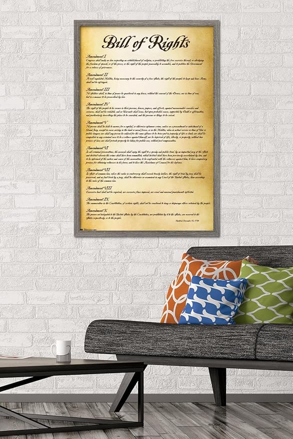 Trends International The United States of America - Bill of Rights Wall Poster, 22.375" x 34", Barnwood Framed Version