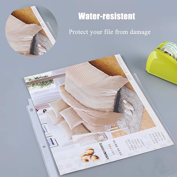 Seashell 250 Economy Sheet Protectors 8.5 x 11, Clear Plastic Page Protectors for 3 Ring Binder, Letter Size, Acid Free, Top Loading, Binder Sleeves for 8.5 x 11 Inch Sheets