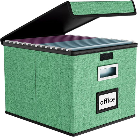 Huolewa File Organizer Box with Lid, Collapsible File Folder Organizer for Office Document Storage, Filing Box with Plastic Slide for Letter Size Hanging File Folders(1 Pack, Light Green)