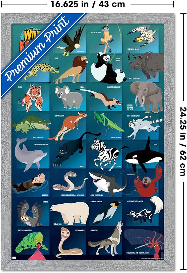 Wild Kratts - Grid Wall Poster, 22.4L" x 14.7W", Gray Framed Version