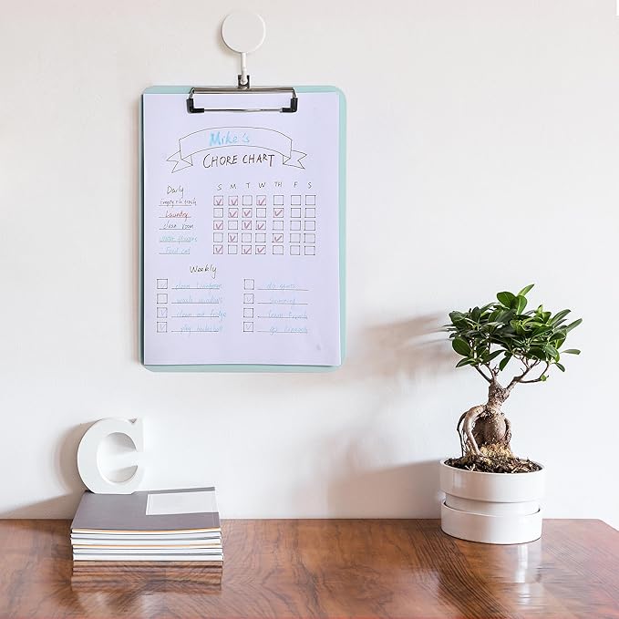 Mr. Pen- Plastic Clipboard, 12.5" x 9", 2 Pack, Clipboard Plastic, Low-Profile Metal Clip with Retractable Hanging Hole
