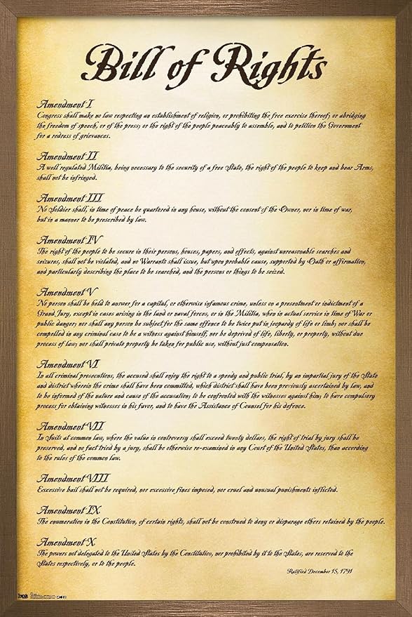 Trends International The United States of America - Bill of Rights Wall Poster, 14.725" x 22.375", Bronze Framed Version
