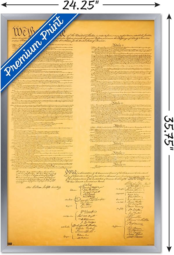 Trends International The Constitution Wall Poster, 22.375" x 34", Silver Framed Version