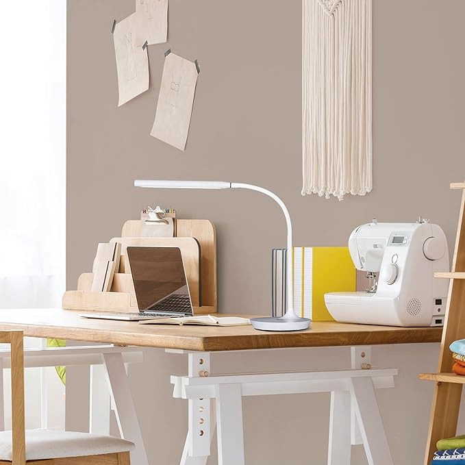 Ottlite Extended Reach LED Desk Lamp, White