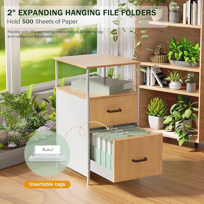 Hanging File Folders Letter Size, Green Hanging File Folders for Filing Cabinet, Expandable 2 Inch Hanging Files with Tabs Stay Organized Bulky Files, Medical Charts & Paper, 9.25 x 11.8 in