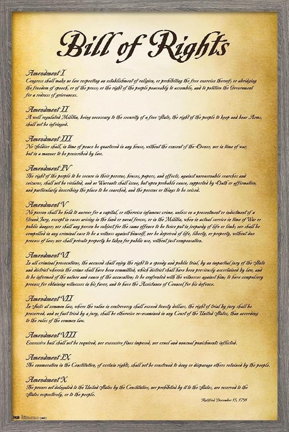Trends International The United States of America - Bill of Rights Wall Poster, 22.375" x 34", Barnwood Framed Version