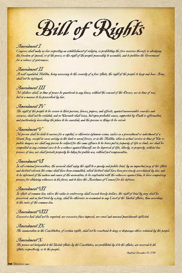 Trends International The United States of America - Bill of Rights Wall Poster, 22.4L x 14.7W, Blonde Framed Version