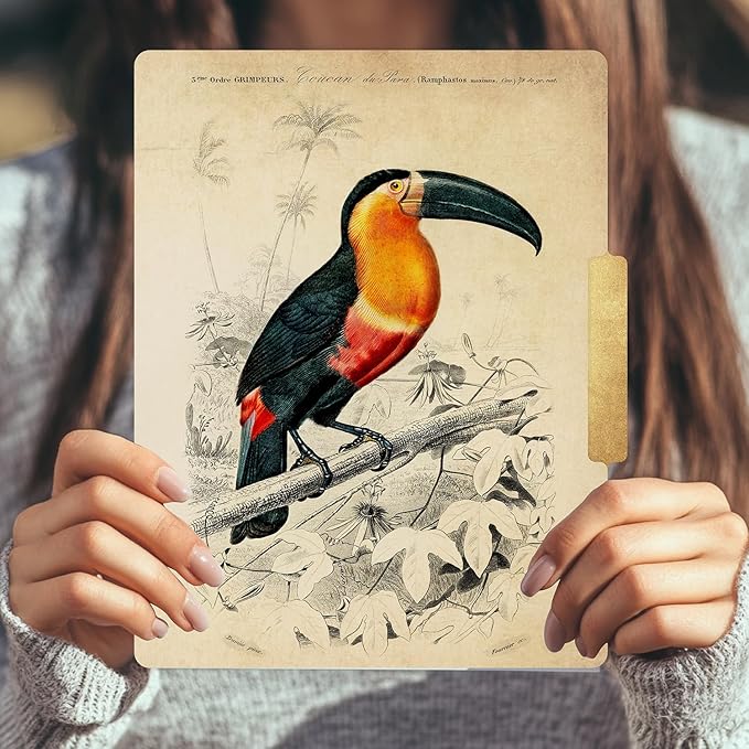 PARTH IMPEX 12 Pack Decorative File Folders, 1/3 Cut Tab with Assorted Positions, Letter Size Paper Holders (9.75” x 11.75”) Matte Finish Laminated for Office School Work - Vintage Birds Design