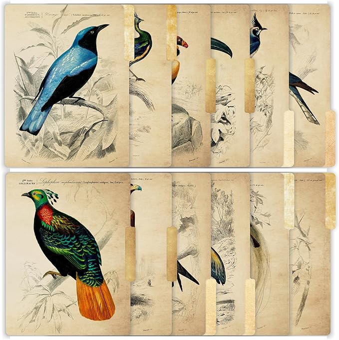 PARTH IMPEX 12 Pack Decorative File Folders, 1/3 Cut Tab with Assorted Positions, Letter Size Paper Holders (9.75” x 11.75”) Matte Finish Laminated for Office School Work - Vintage Birds Design