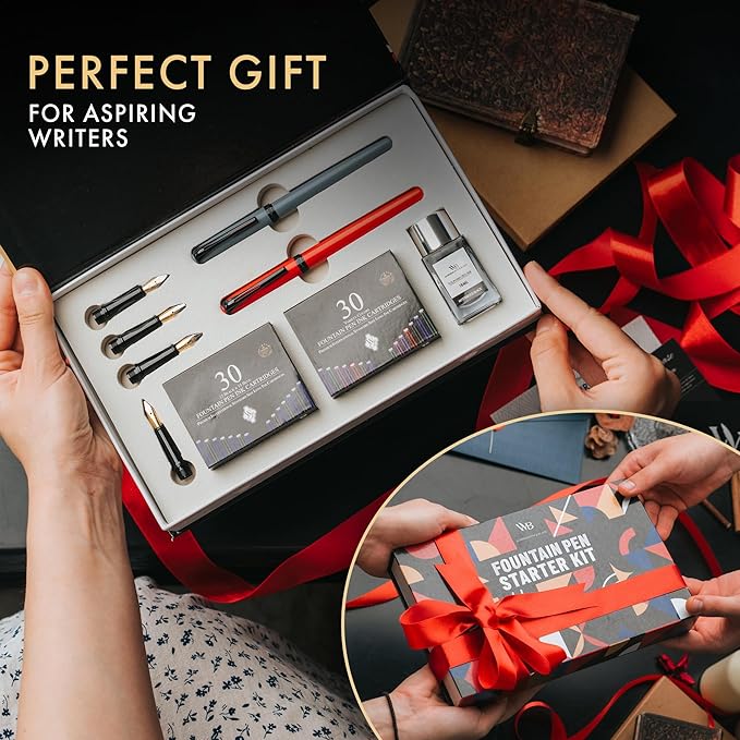 Wordsworth and Black Fountain Pen Set - Grey - Includes 2 Pens, 18 ML Ink Bottle, 60 Ink Cartridges, A Refill Converter, 1 Medium and 4 Broad Nibs, Brush Pen - Fountain Pen Kit for Beginners