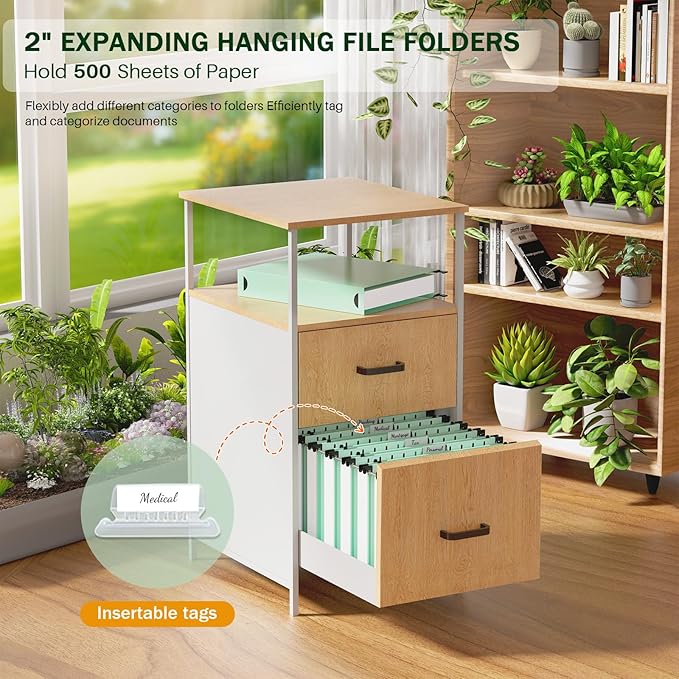 12 Pack 2 Inch Expansion Letter Size Hanging File Folders, Green File Folders Hanging, Hanging Folder with Adjustable Tab, Extra Capacity Filing Folders Hanging for School Classroom, Office Supplies