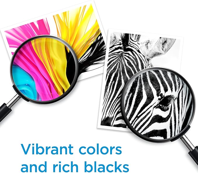 HP Original 64 Tri-Color / 64XL Black Ink Cartridges (2-pk) | Works Envy Inspire 7250e, 7950e Series Envy Photo 6200, 7100, 7800 Series
