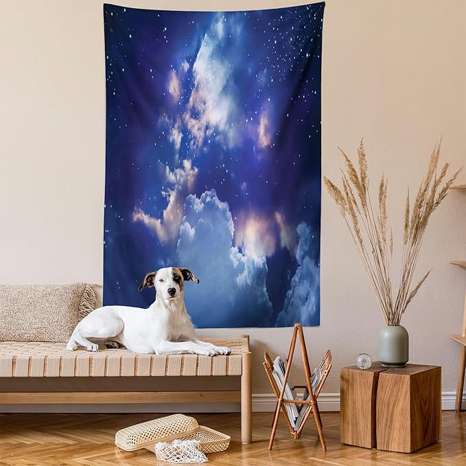 Ambesonne Space Tapestry, Magic Sky View with Star and Clouds Celestial Colorful World Cosmic Expanse Theme, Fabric Wall Hanging Decor for Bedroom Living Room Dorm, 23" X 28", White and Blue