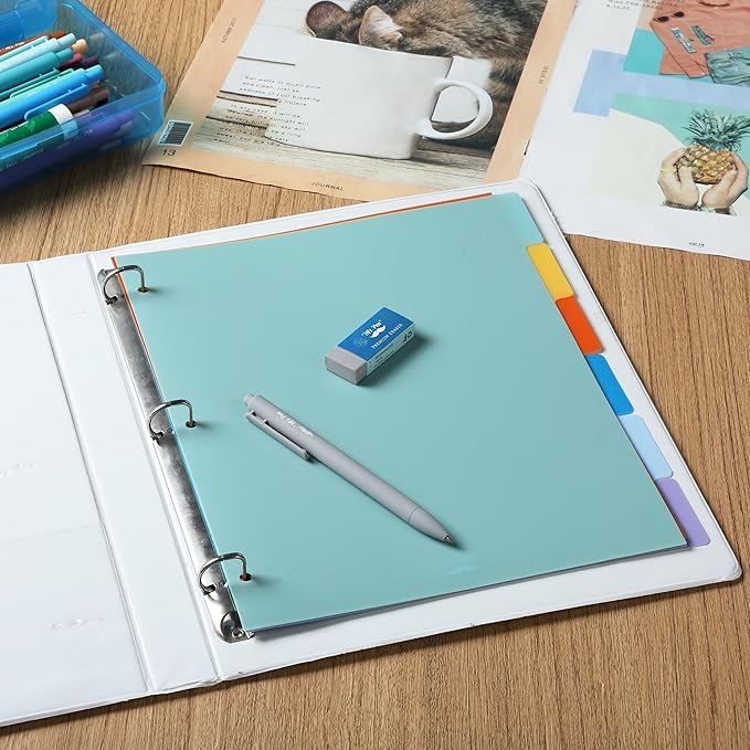 Mr. Pen- 3 Ring Binder Dividers with Tabs, 2 Sets, 6 Pack/Set, Letter Size, Winter Colors, Plastic 6 Tab Dividers for 3 Ring Binder with 12 pcs Labels