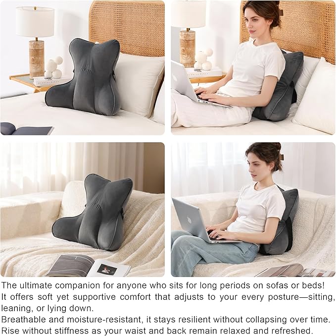 Lumbar Support Pillow(Pat. Pend) – Ergonomic Multi-Zone Back Cushion for Lower Back Pain Relief, Ideal for Office Chair, Car Seat & Home Reading,Steel Gray