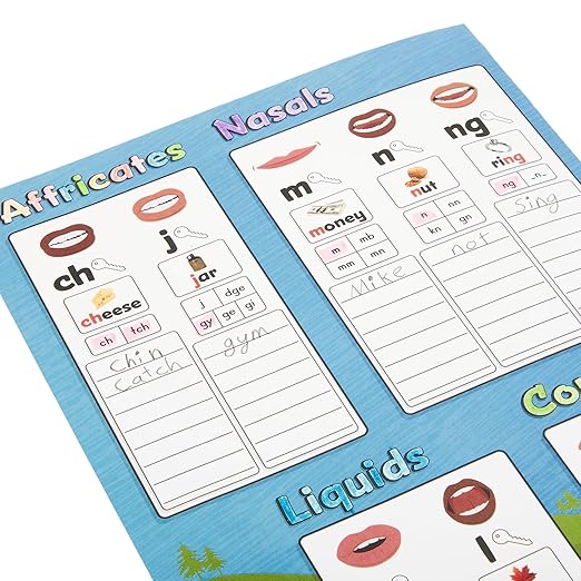 Really Good Phonics Individual Sound Wall Folders - Set of 24 - Learning Supplies, Homeschool & Classroom Must Haves