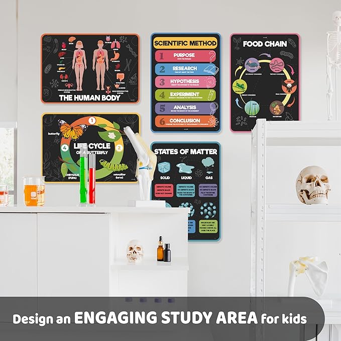jackinthebox 12 Science Posters for Classroom - 12 x 17 inches Laminated, Middle School Science Posters, Posters for High School, Science Classroom Decor, Science Bulletin Board Sets, Easter Gifts for Kids.