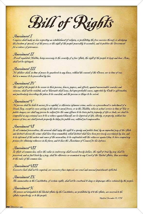 Trends International The United States of America - Bill of Rights Wall Poster, 14.725" x 22.375", White Framed Version