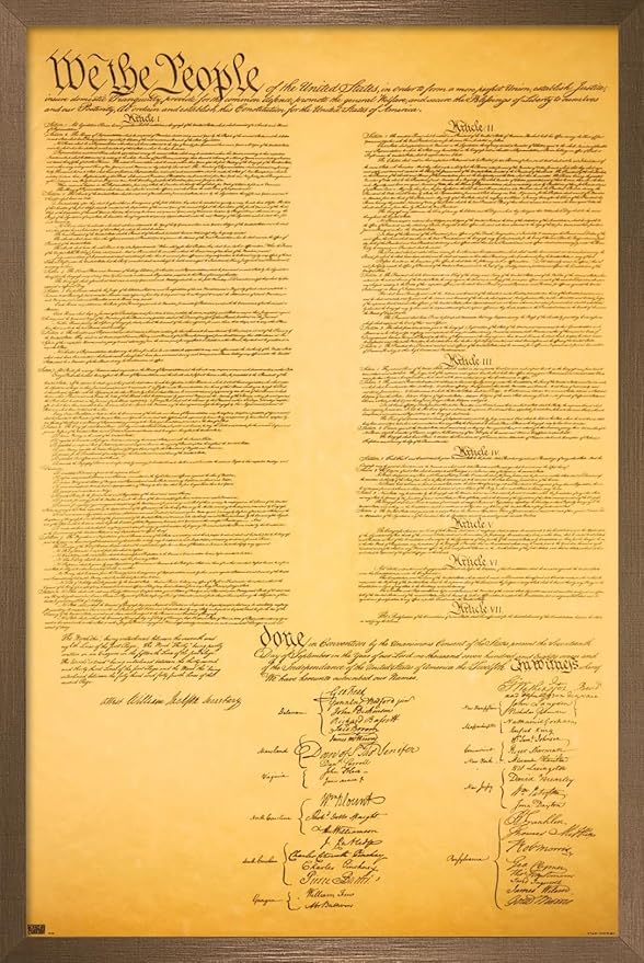 Trends International The Constitution Wall Poster, 22.375" x 34", Bronze Framed Version